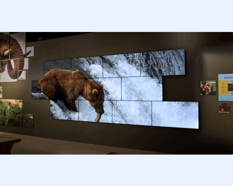 Slideshow 7